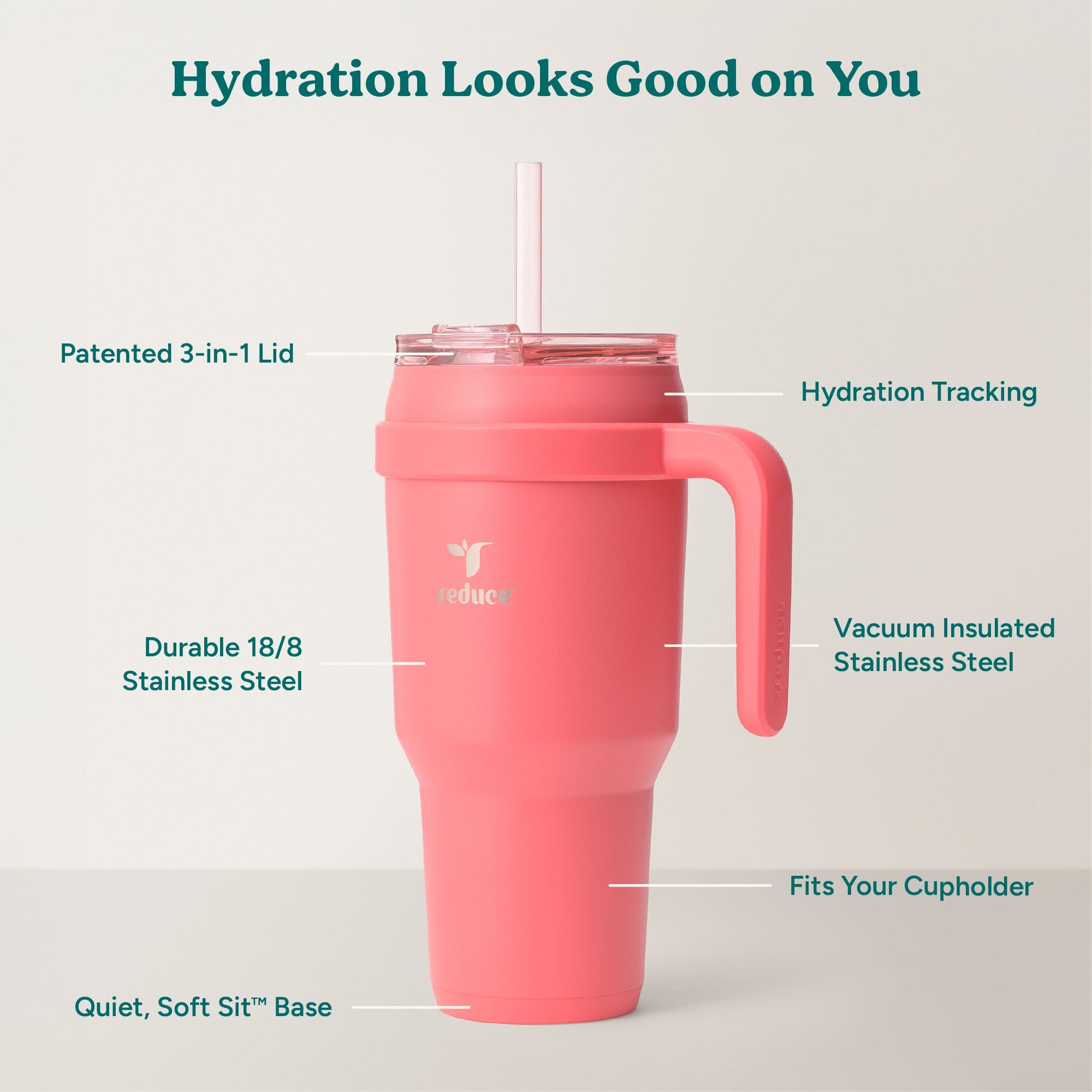 cold1-40-oz-a5 Cold1_40oz_Daiquiri_Infographic_2.jpg