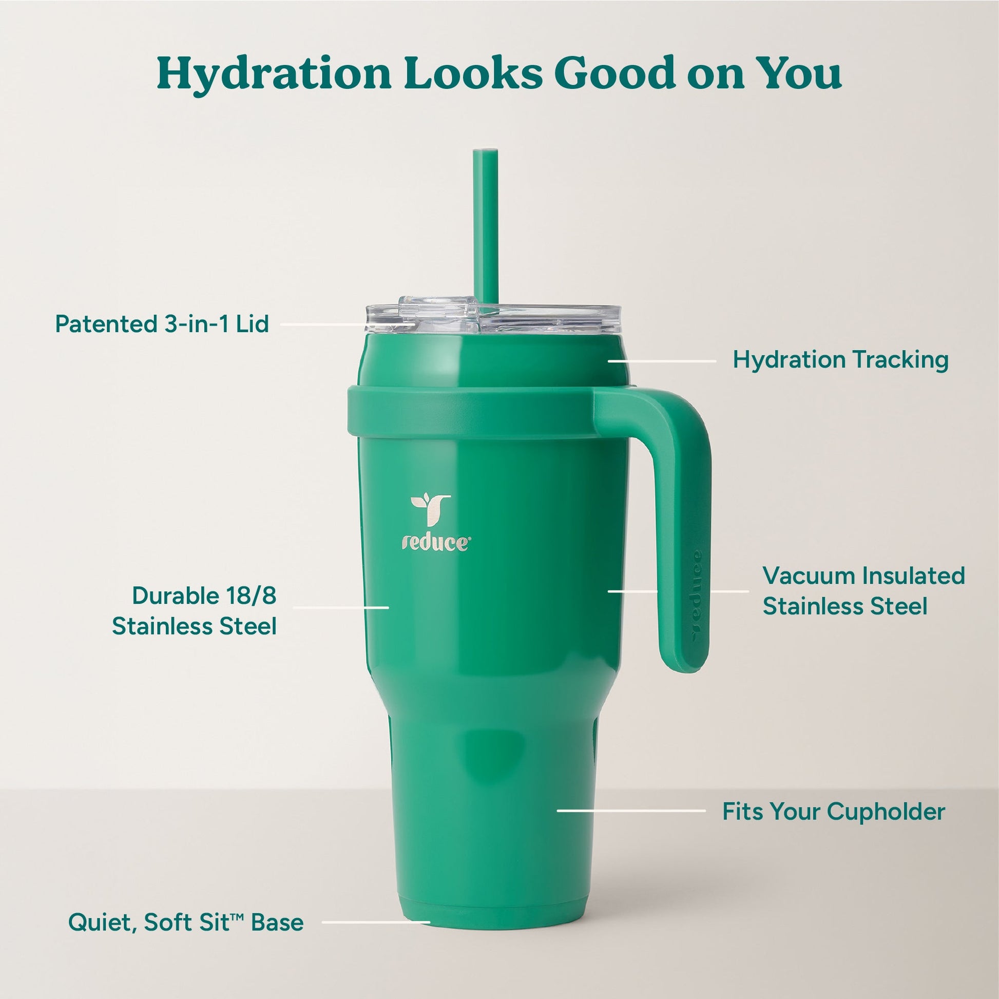 cold1-40-oz-a5 Cold1_40oz_PalmLeaf_Infographic_2.jpg