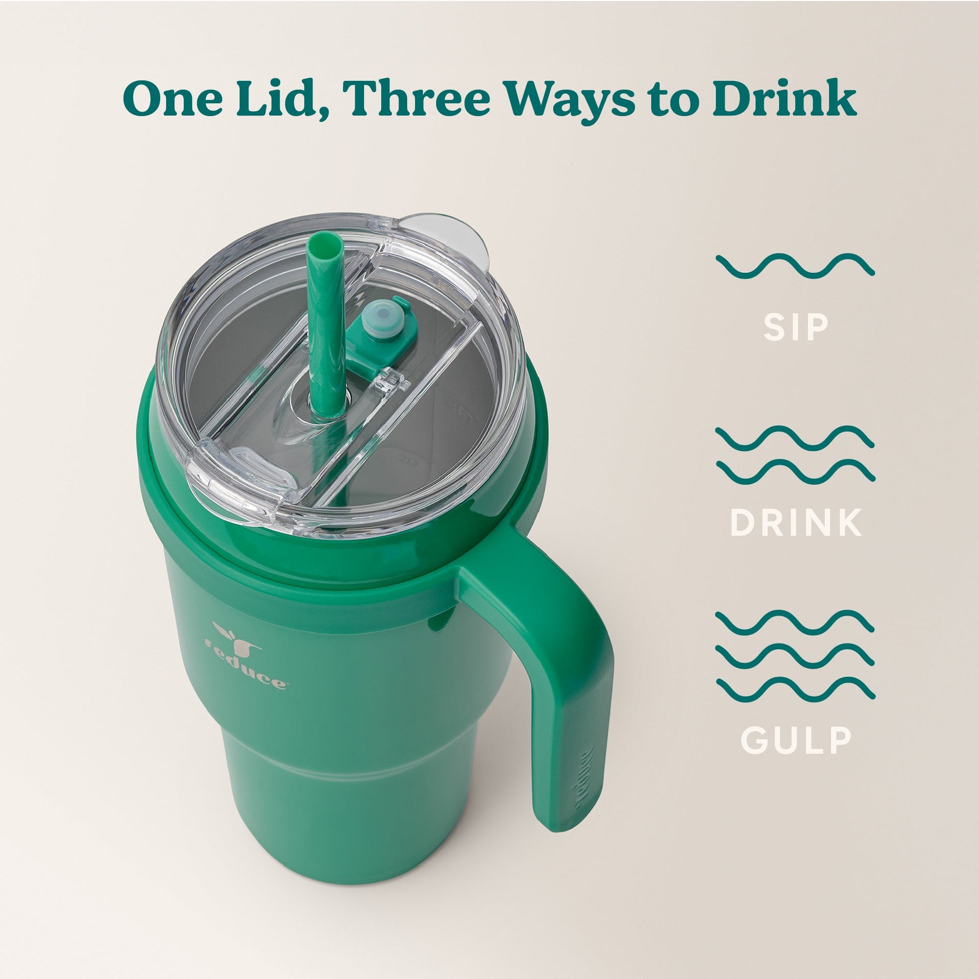 cold1-40-oz-a5 Cold1_40oz_PalmLeaf_Infographic_3.jpg
