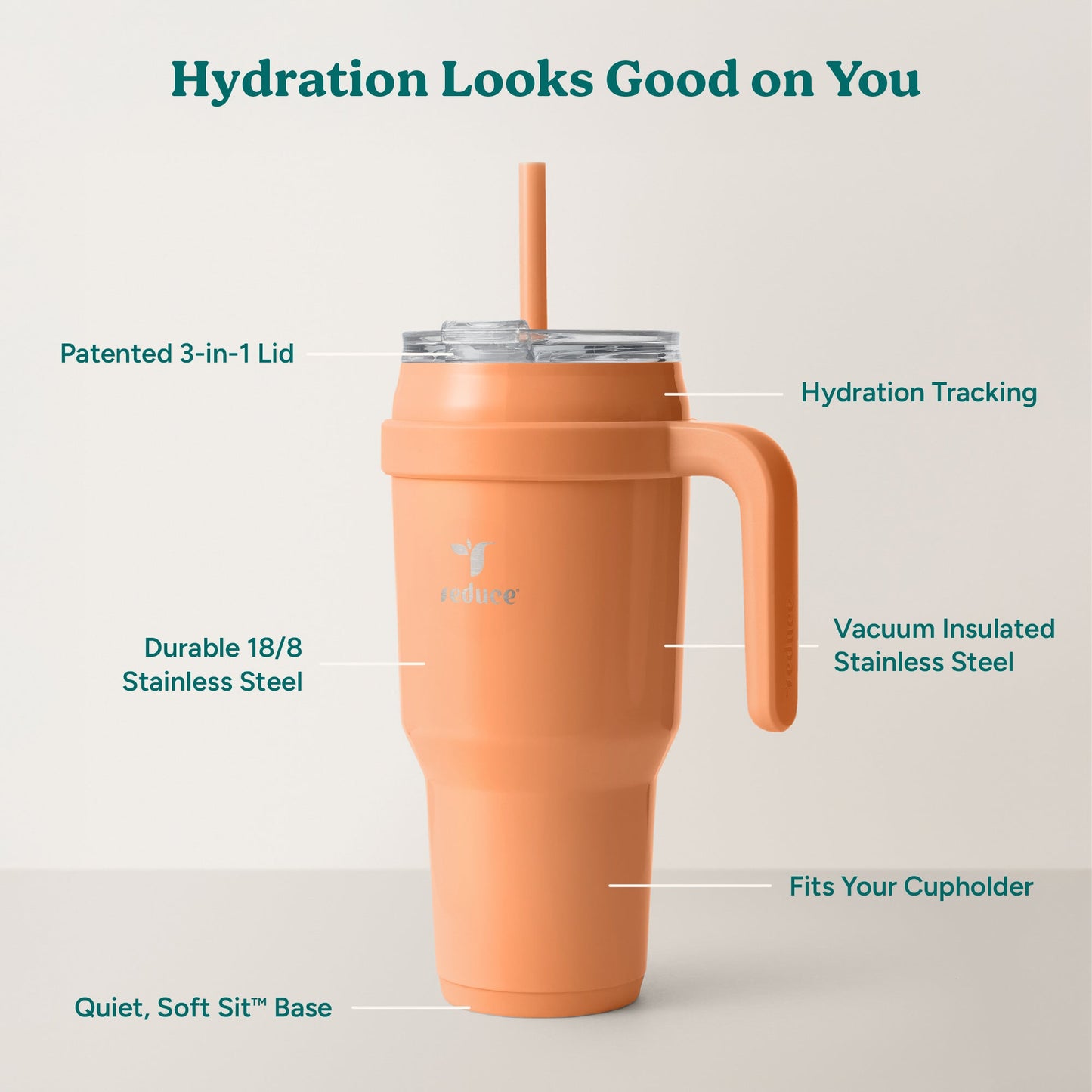 cold1-40-oz-a5 Cold1_40oz_Papaya_Infographic_2.jpg