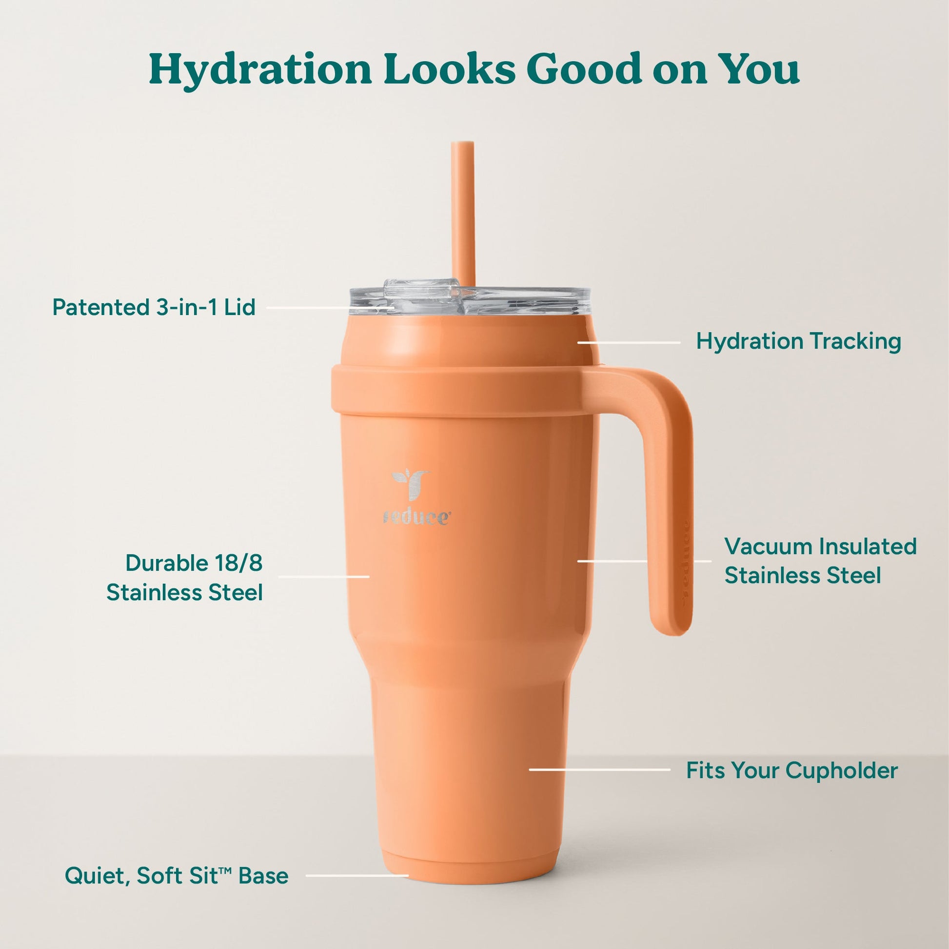 cold1-40-oz-a5 Cold1_40oz_Papaya_Infographic_2.jpg